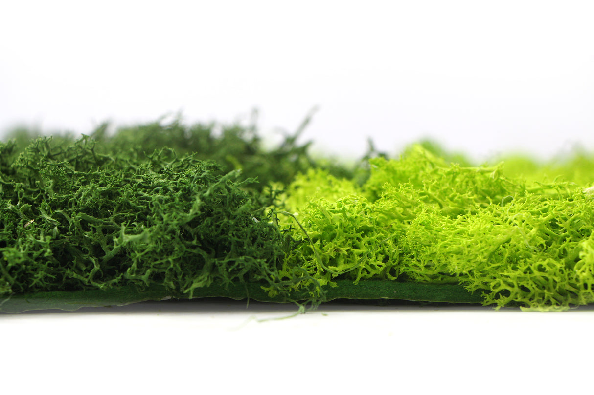 Preserved  reindeer moss panel - patterned green and forest green 0.5 x 3m self adhesive back