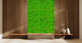 Preserved  reindeer moss panel - grass green 0.5 x 3m self adhesive back