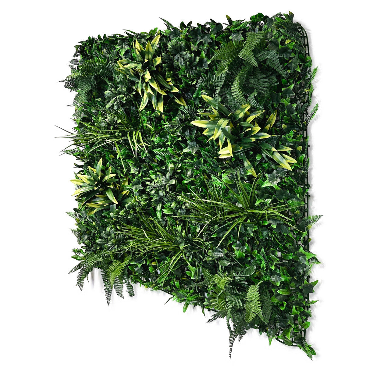 FR Artificial green wall panel with variegated foliage ivy palms grasses and ferns 100x100 cm