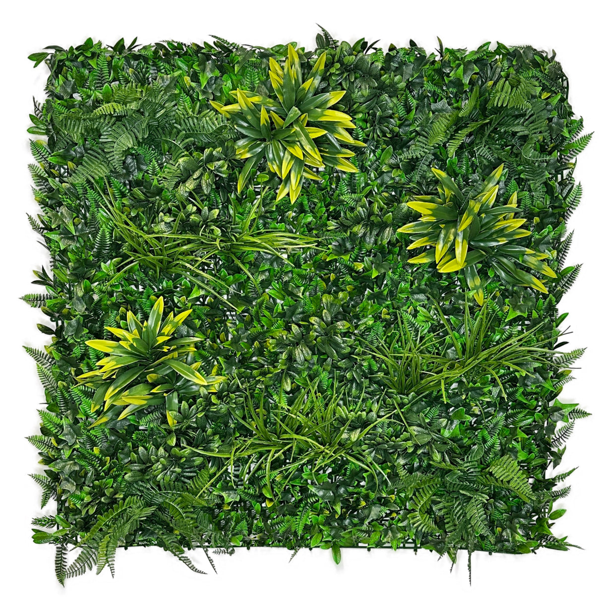 FR Artificial green wall panel with variegated foliage ivy palms grasses and ferns 100x100 cm