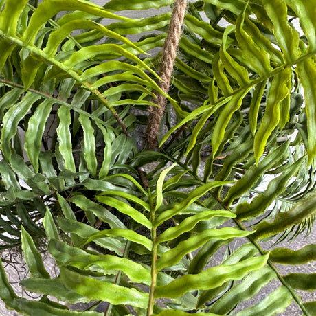 Artificial monstera plant with trailing ferns kokedama