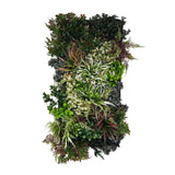 Ultra Realistic 3D combo wall - 3 x Artificial 3D plant wall with green purple and white foliage - PW43 combo