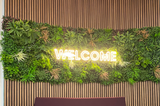 Artificial green wall panel with mixed green, purple, red foliage,white flowers 100x100 cm