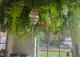 Artificial 3D hanging raft with lush green foliage and trailing white wisteria 100x50cm ceiling or wall