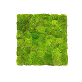 Preserved bun moss panel - green 50x50cm ready to install