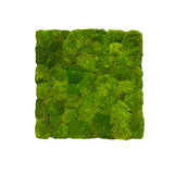 Preserved bun moss panel - green 50x50cm ready to install