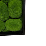Artificial bun moss wall square art panel black aluminium - 50cm