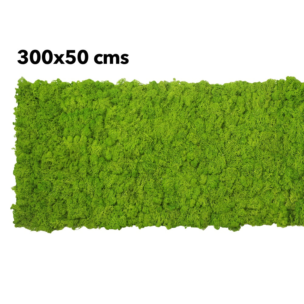 Preserved reindeer moss panel - light green 0.5 x 3m self adhesive back