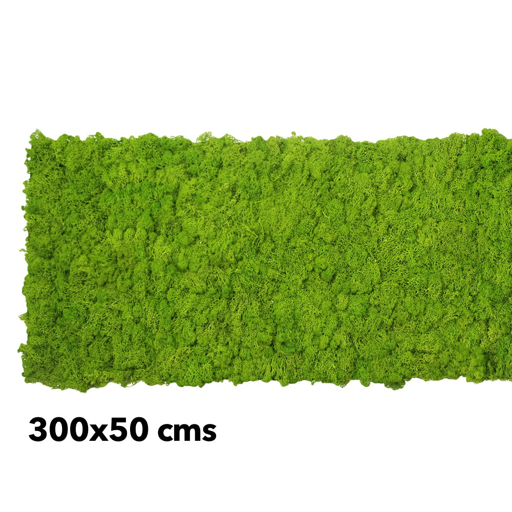 Preserved reindeer moss panel - light green 0.5 x 3m self adhesive back