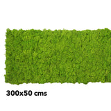 Preserved reindeer moss panel - light green 0.5 x 3m self adhesive back