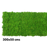 Preserved  reindeer moss panel - grass green 0.5 x 3m self adhesive back