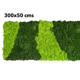 Preserved  reindeer moss panel - patterned light green and forest green 0.5 x 3m self adhesive back