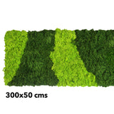 Preserved  reindeer moss panel - patterned light green and forest green 0.5 x 3m self adhesive back