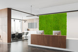 Preserved  reindeer moss panel - grass green 0.5 x 3m self adhesive back