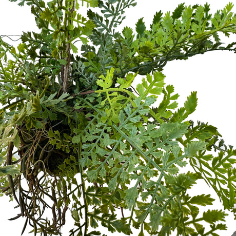 Artificial trailing pheasant tail fern kokedama with spleenwort