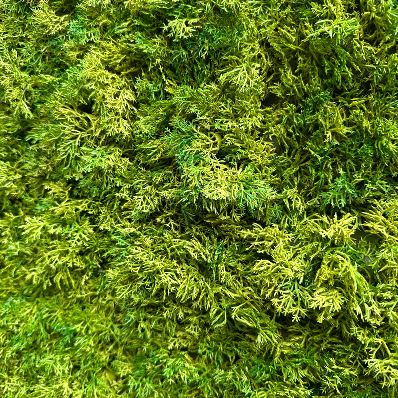 Artificial moss green walls – greenplantwalls.co.uk